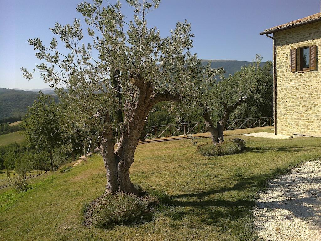 Agriturismo Paradiso 44 阿西西 外观 照片