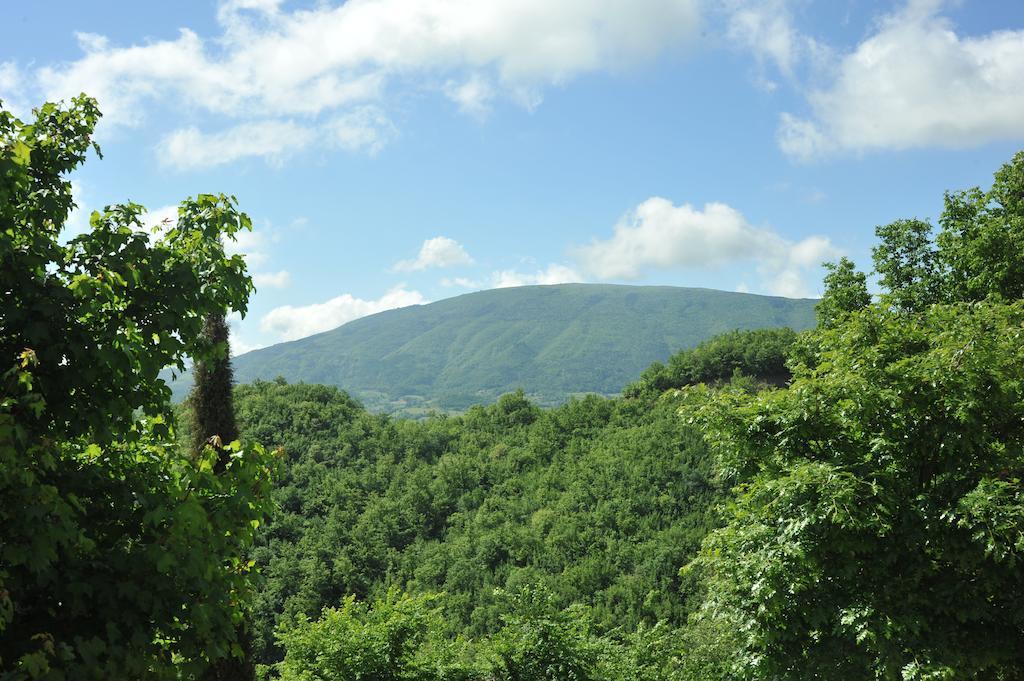 Agriturismo Paradiso 44 阿西西 外观 照片