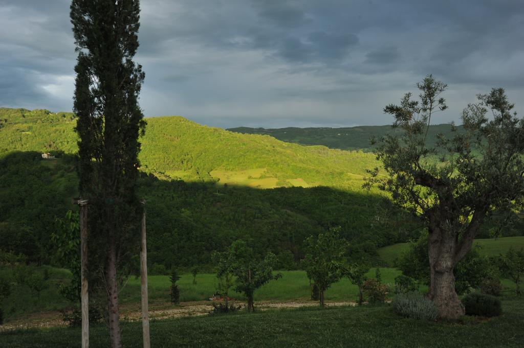 Agriturismo Paradiso 44 阿西西 外观 照片