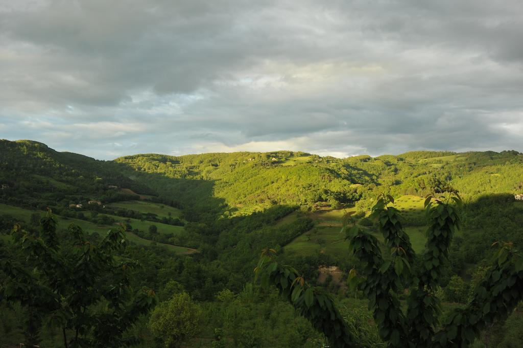 Agriturismo Paradiso 44 阿西西 外观 照片