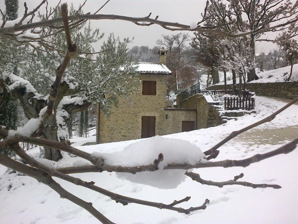 Agriturismo Paradiso 44 阿西西 外观 照片