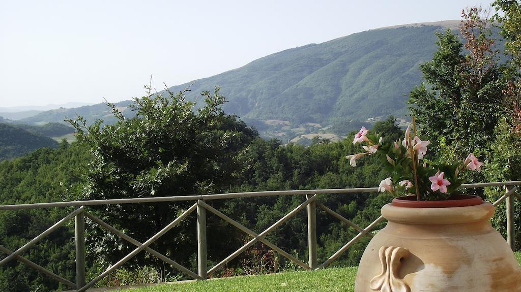 Agriturismo Paradiso 44 阿西西 外观 照片
