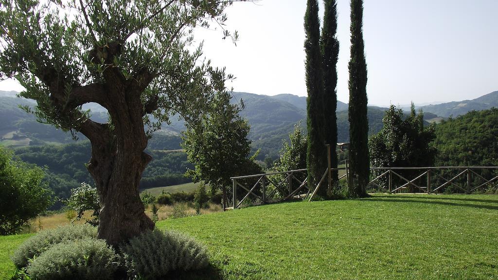 Agriturismo Paradiso 44 阿西西 外观 照片