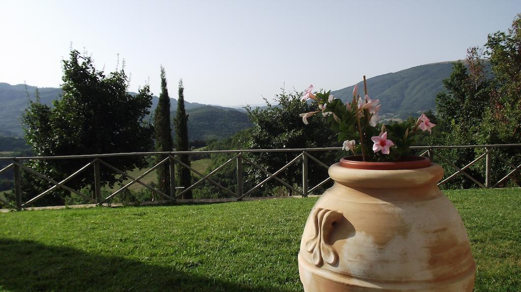 Agriturismo Paradiso 44 阿西西 外观 照片