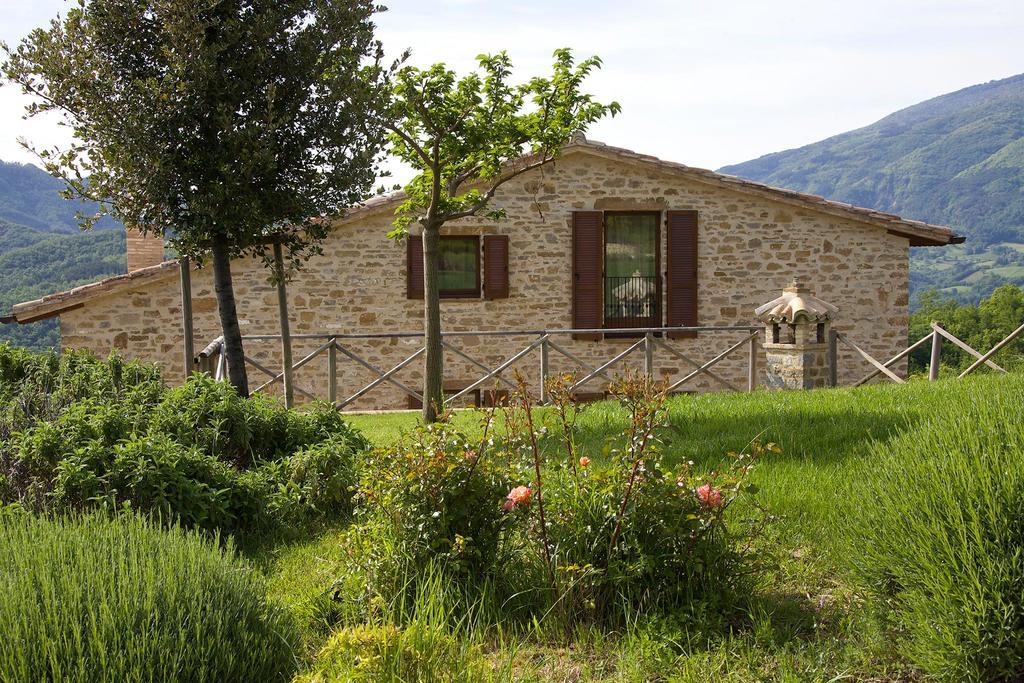 Agriturismo Paradiso 44 阿西西 外观 照片