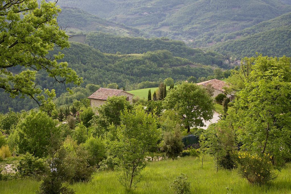 Agriturismo Paradiso 44 阿西西 外观 照片