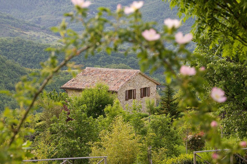 Agriturismo Paradiso 44 阿西西 外观 照片