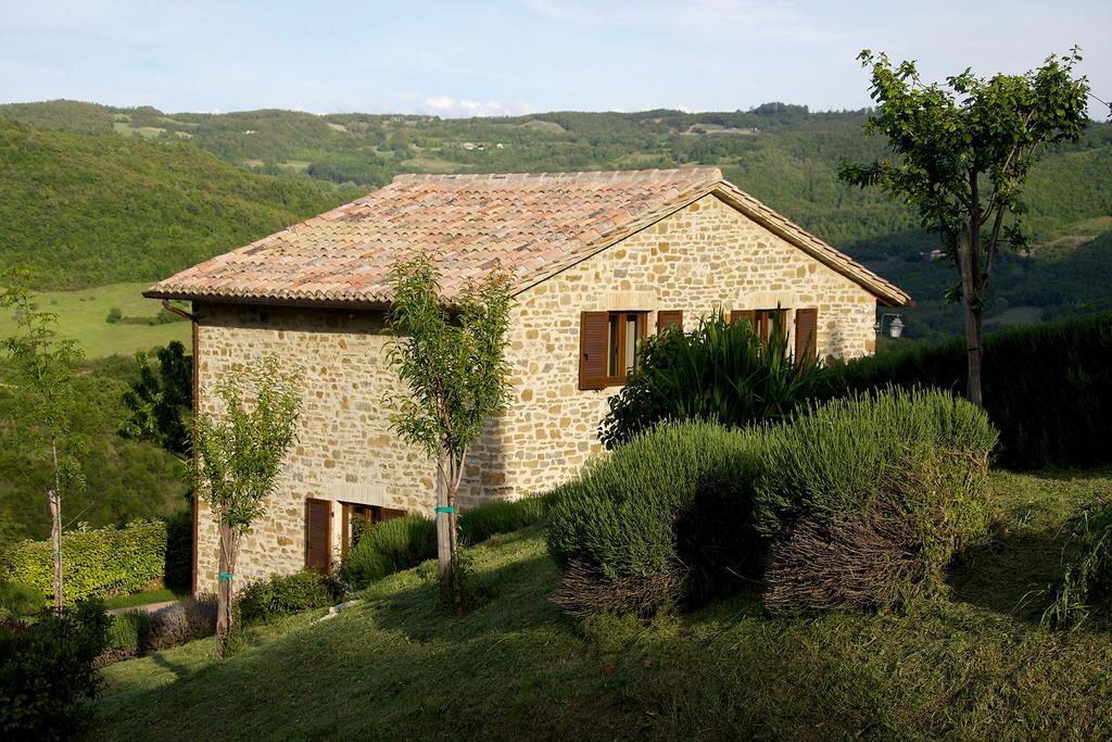 Agriturismo Paradiso 44 阿西西 外观 照片