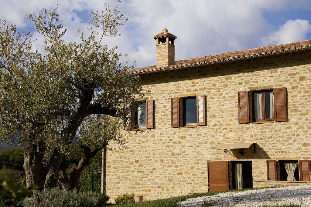 Agriturismo Paradiso 44 阿西西 外观 照片